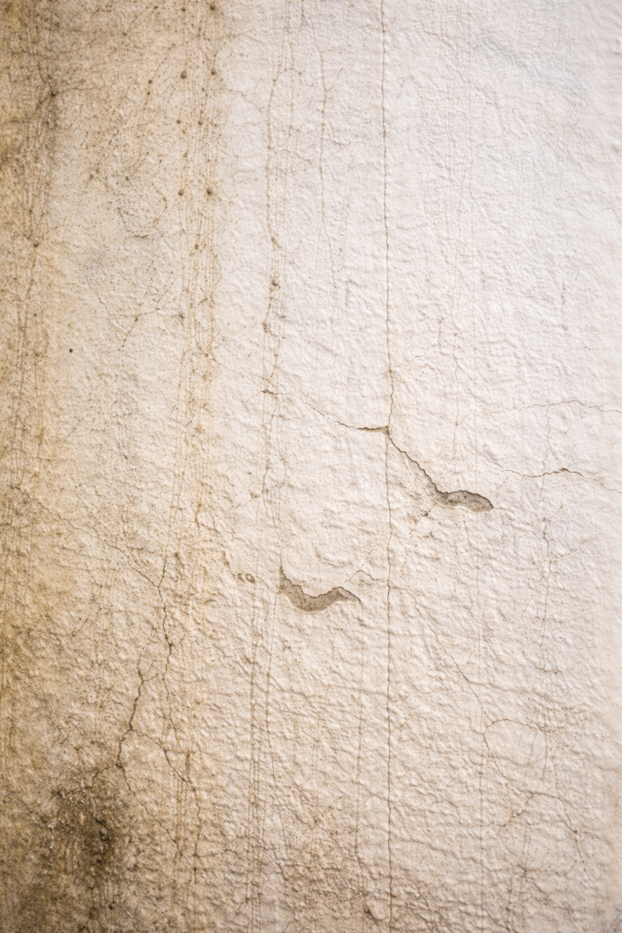 Professional home and commercial cleaning services in Chicago, Orland Park, Joliet, Plainfield, Evanston, Oak Park, Elmhurst, Downers Grove, Hammond, Merrillville, Tinley Park, Lockport, Homer Glen, Frankfort, Minooka and surrounding areas including deep cleaning, Airbnb cleaning, move in move out and recurring cleaning