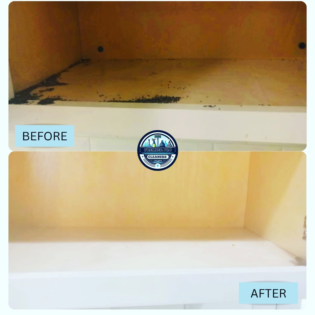 Before and after kitchen cabinet cleaning in Orland Park IL