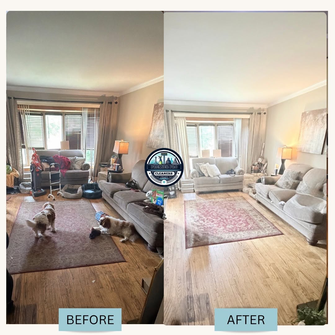 Before and after living room and carpet cleaning in Chicago IL